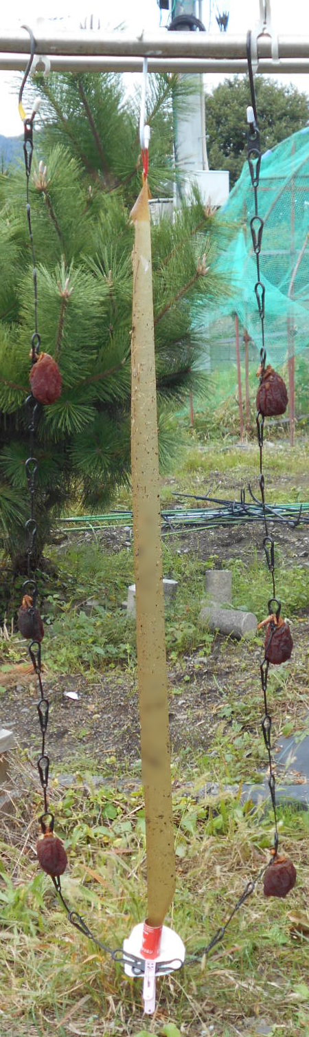 �n�G���{���g�p���@�Q